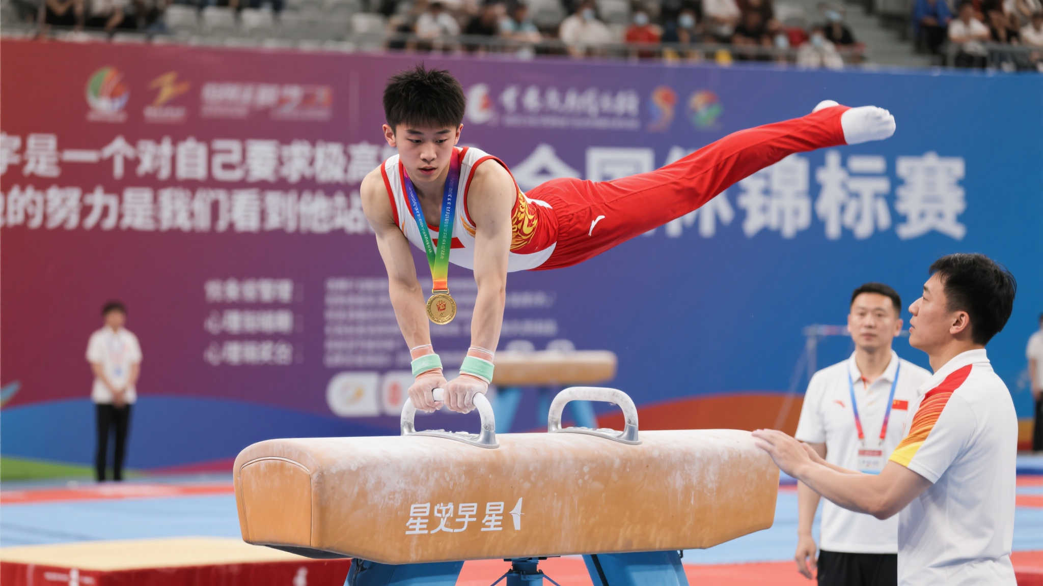 局限于体育
