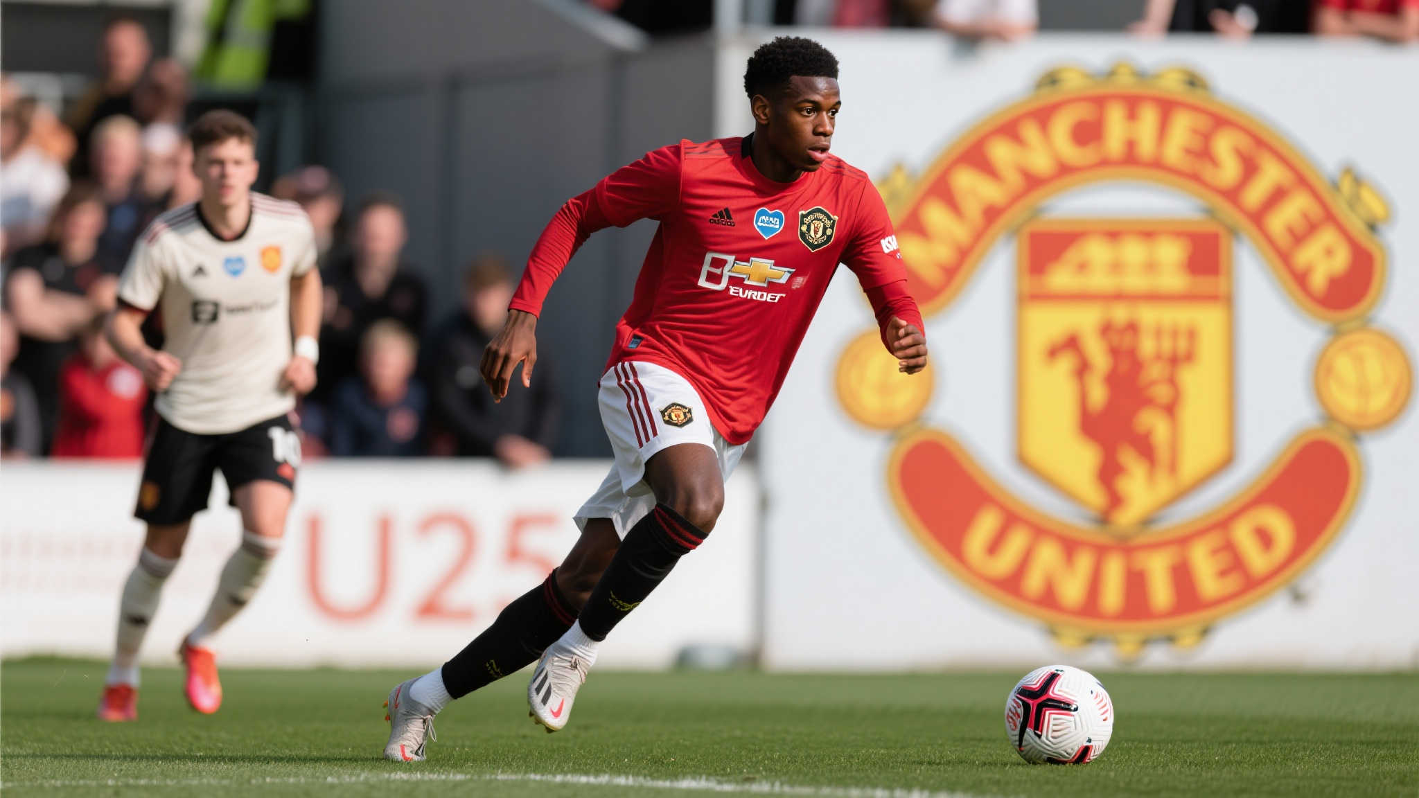 带来了荣誉 带来了荣誉