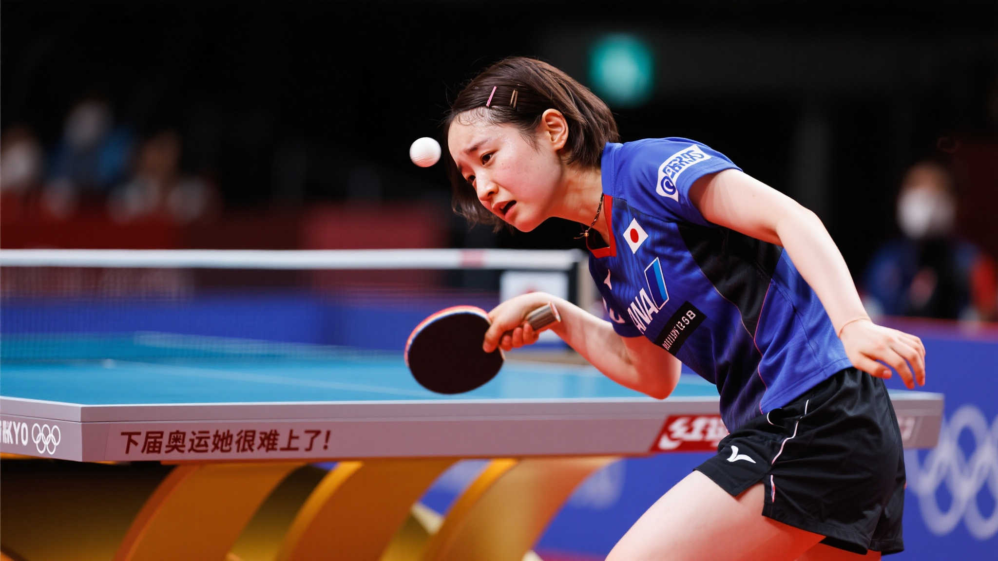 他们的存在 他们的存在