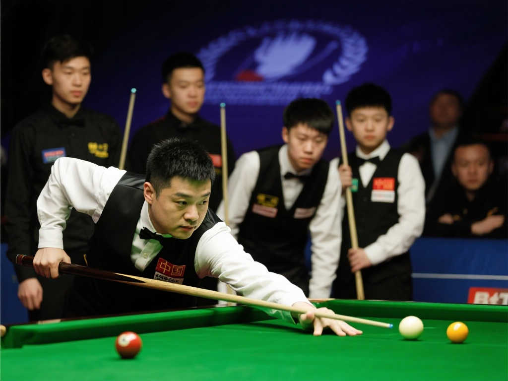 了无数的挑 了无数的挑