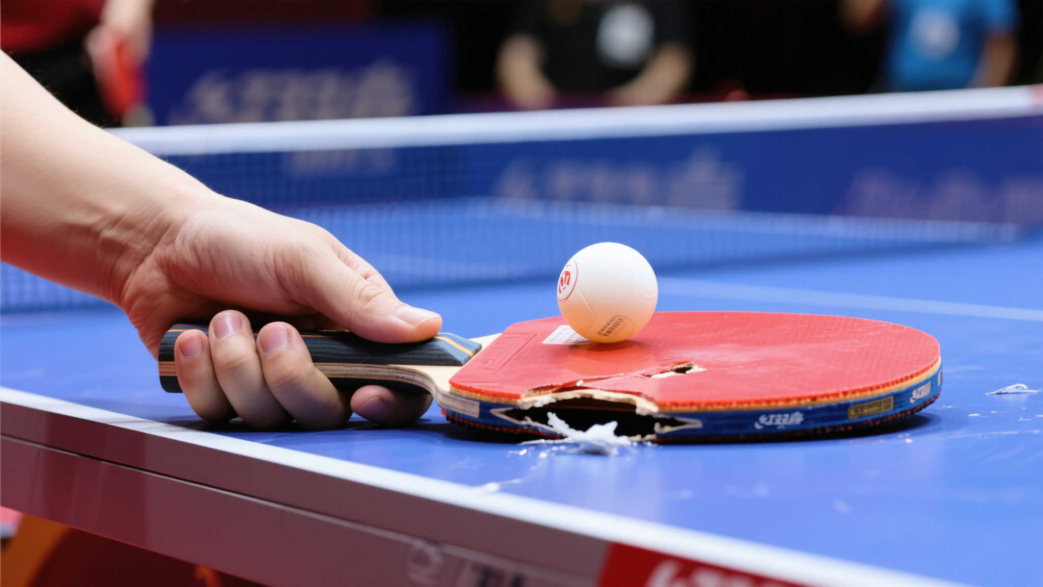 一定麻烦 一定麻烦