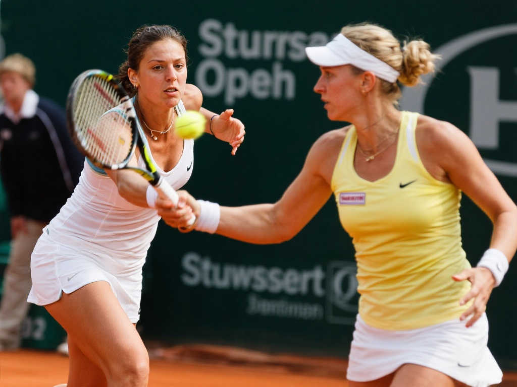 目标带领国 目标带领国